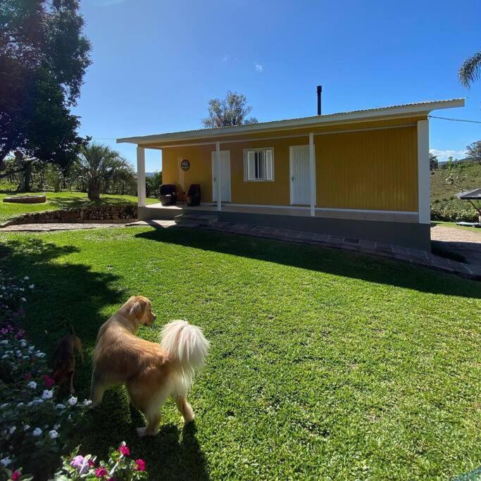 Villa Casa Vigneto Octavio No Vale Dos Vinhedos à Bento Gonçalves Extérieur photo