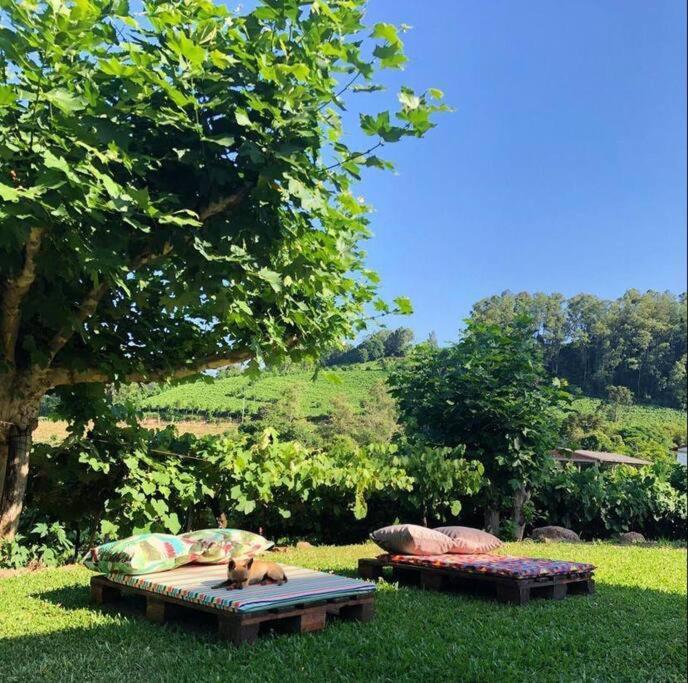 Villa Casa Vigneto Octavio No Vale Dos Vinhedos à Bento Gonçalves Extérieur photo